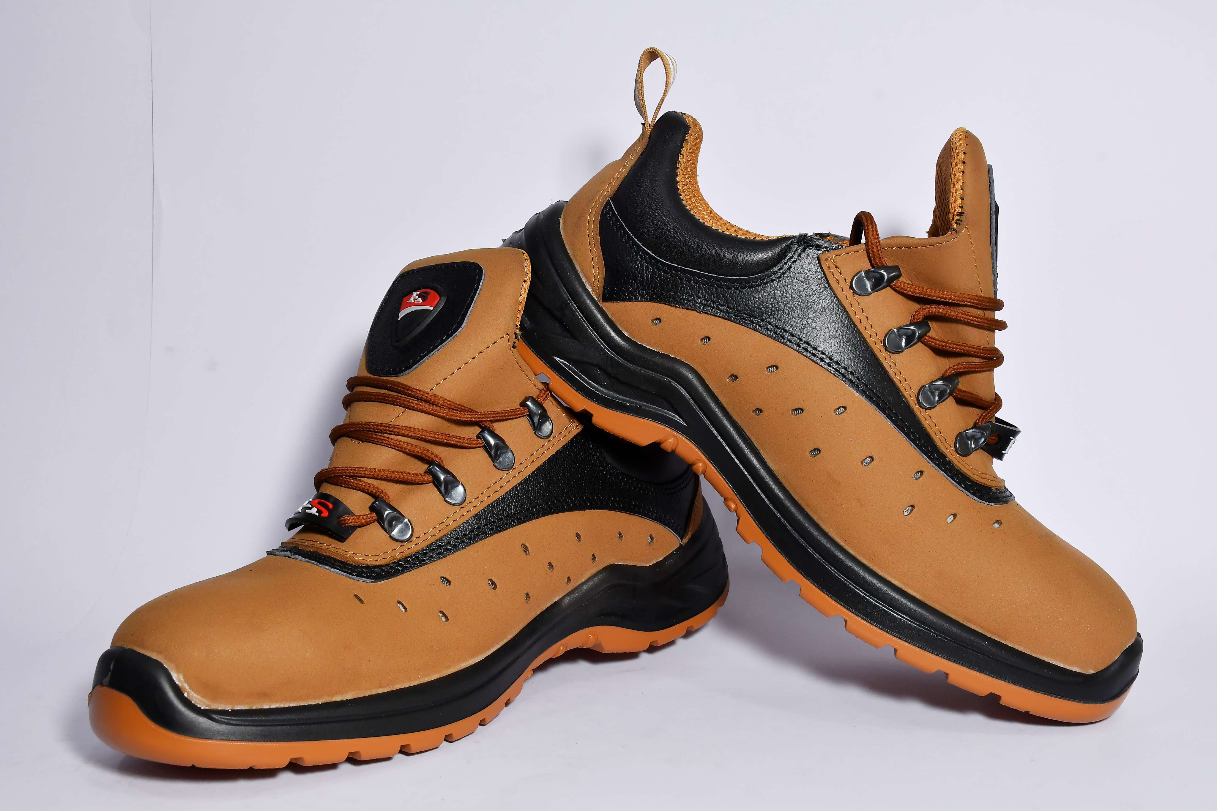 ARTICLE : HS - 1001